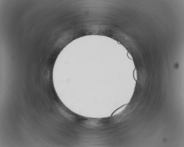 X0000116820086201001291631