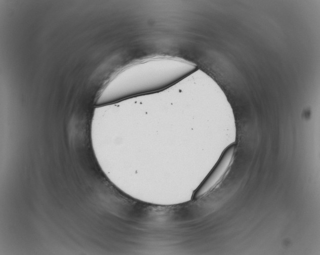 X0000116820088201001291631