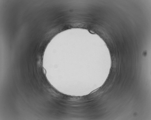 X0000116820089201001291631