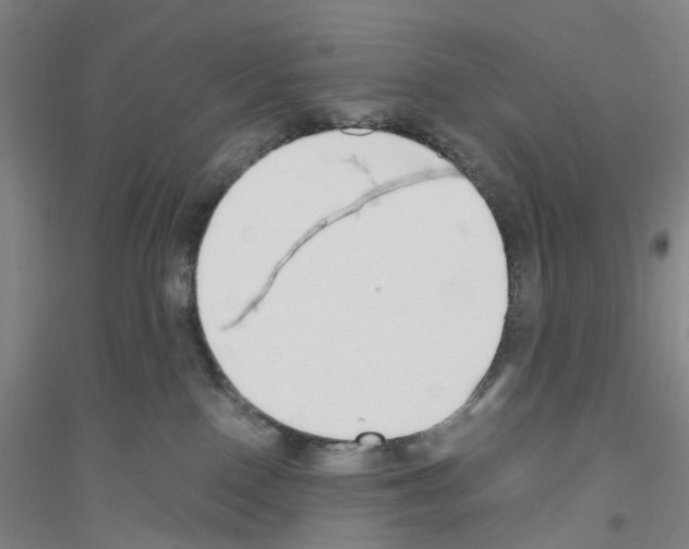 X0000116820090201001291631