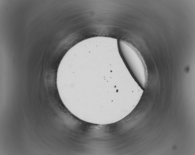 X0000116820092201001291631