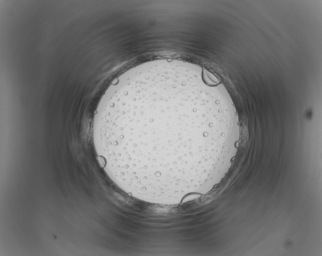 X0000116820093201001291631