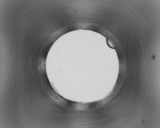 X0000116820094201001291631