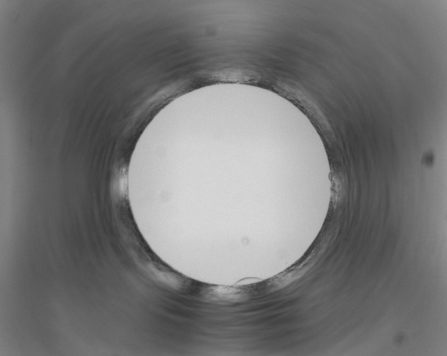 X0000116820095201001291631