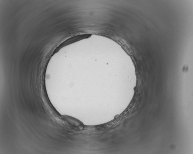 X0000116820097201001291630