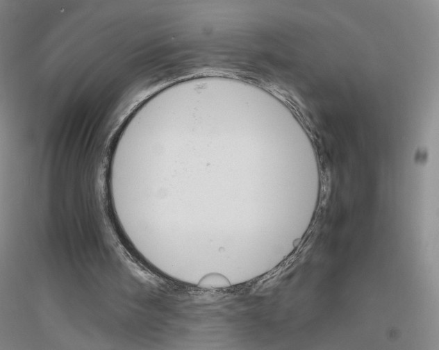 X0000116820098201001291630