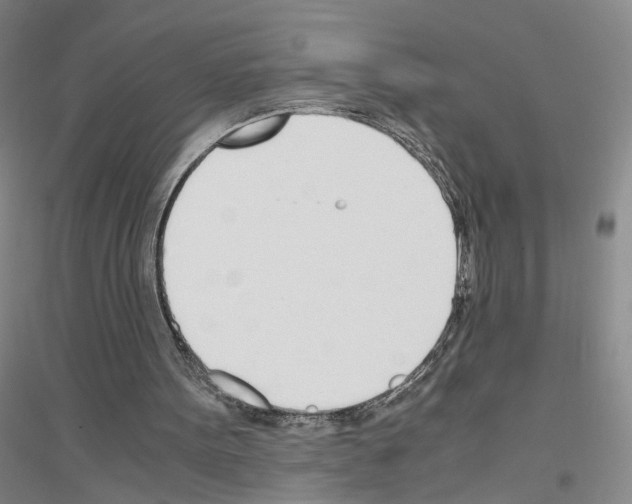 X0000116820099201001291630