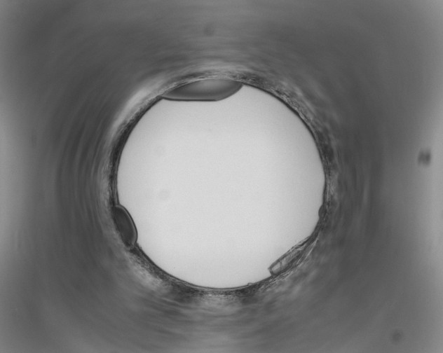 X0000116820101201001291630