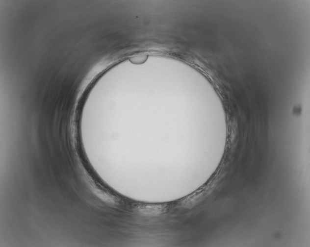 X0000116820102201001291630