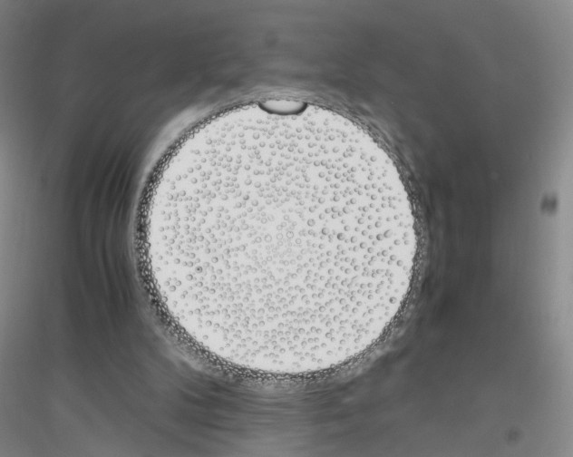 X0000116820104201001291630