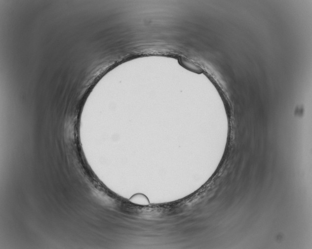 X0000116820105201001291630