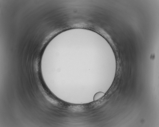 X0000116820106201001291630