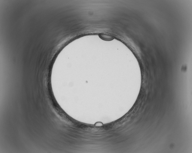 X0000116820107201001291630