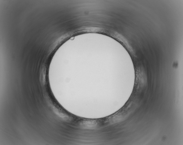 X0000116820110201001291630