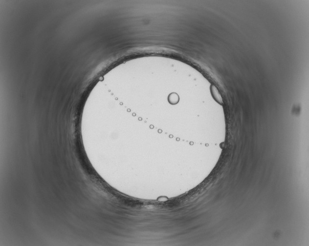 X0000116820111201001291630