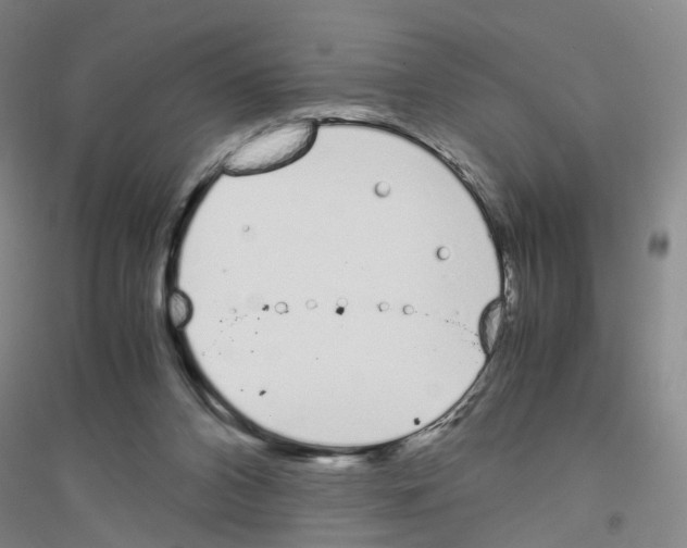 X0000116820112201001291630