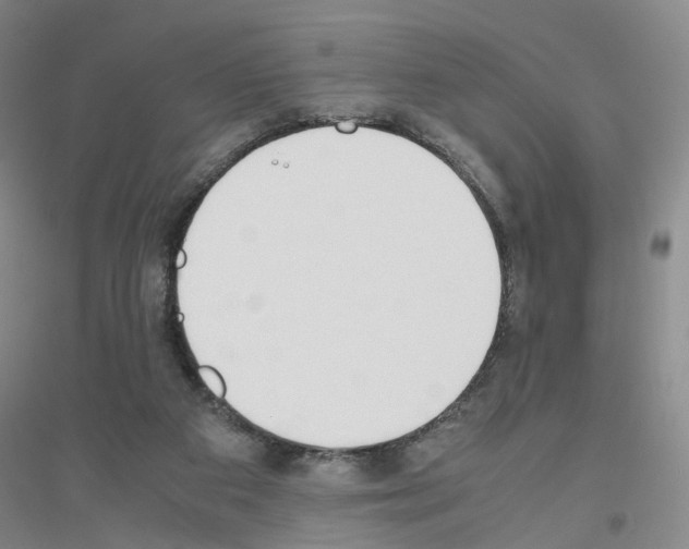 X0000116820113201001291630