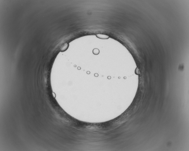 X0000116820115201001291630