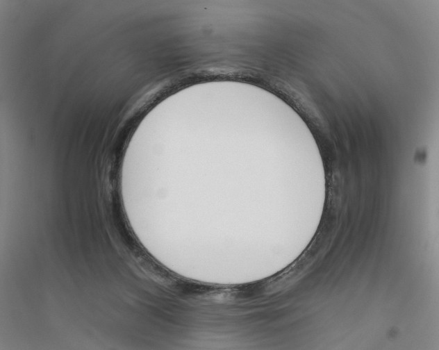 X0000116820116201001291630