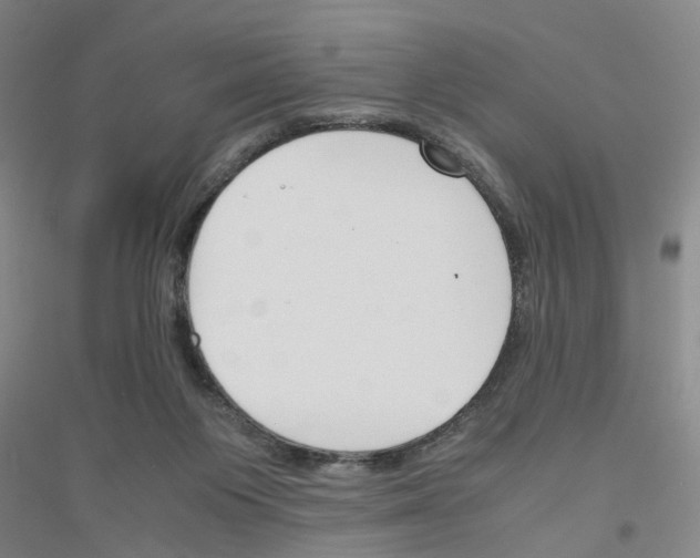 X0000116820119201001291630