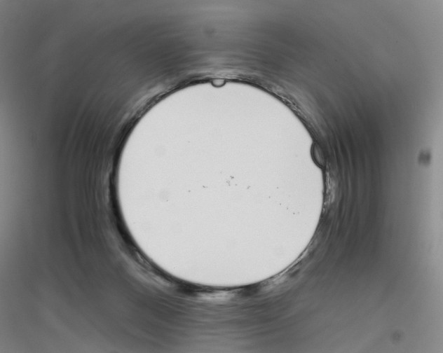 X0000116820120201001291630