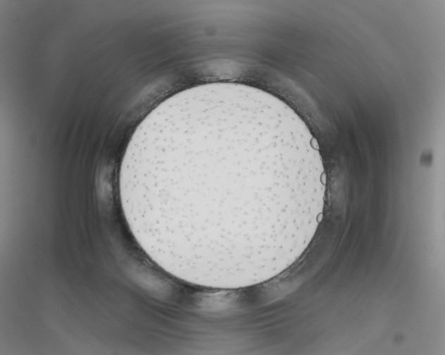 X0000116820122201001291630