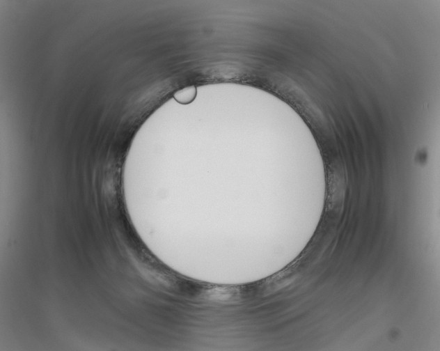 X0000116820126201001291630