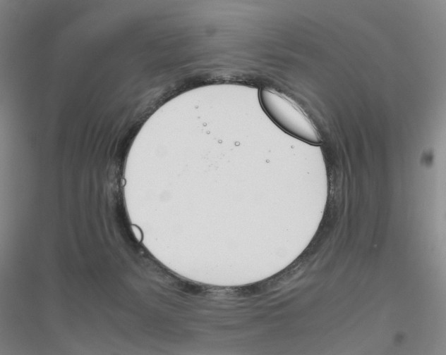 X0000116820127201001291630