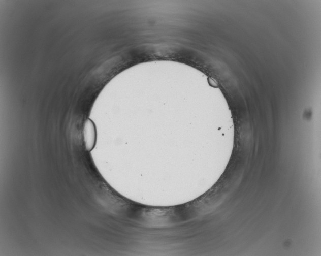 X0000116820129201001291630