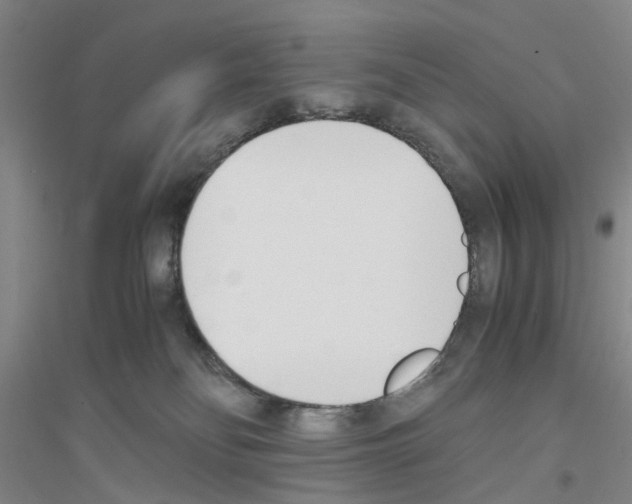 X0000116820134201001291630