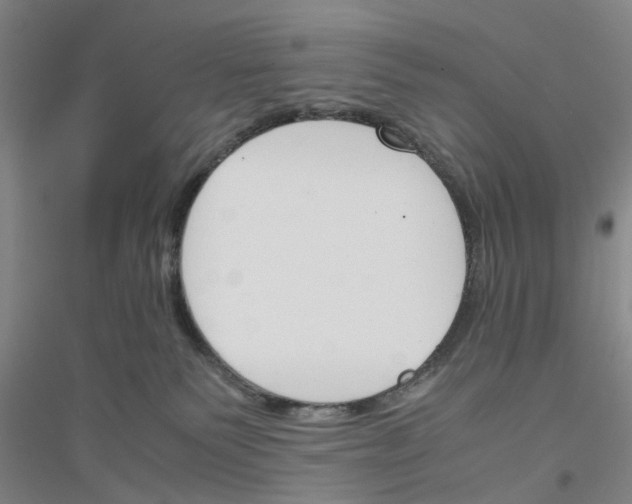 X0000116820135201001291630