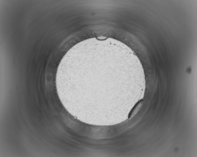 X0000116820136201001291630