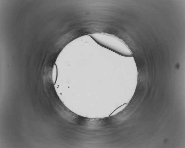 X0000116820141201001291630