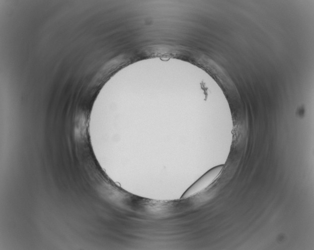 X0000116820142201001291630