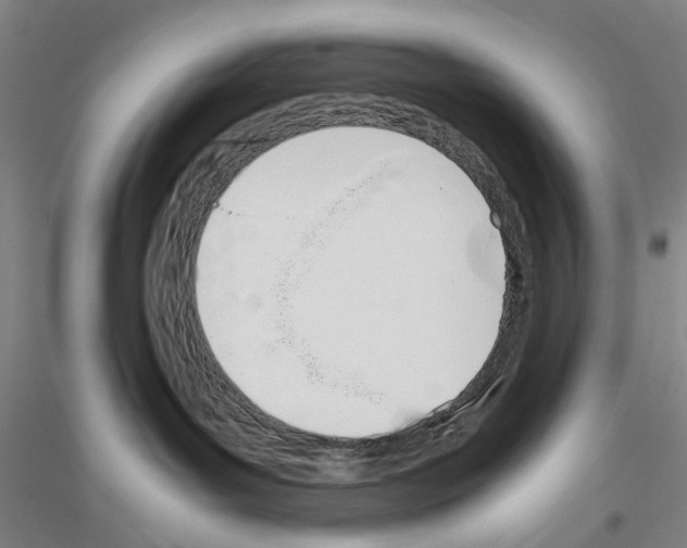 X0000116820143201001291630