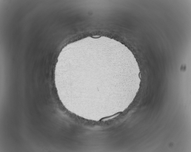 X0000116820144201001291630