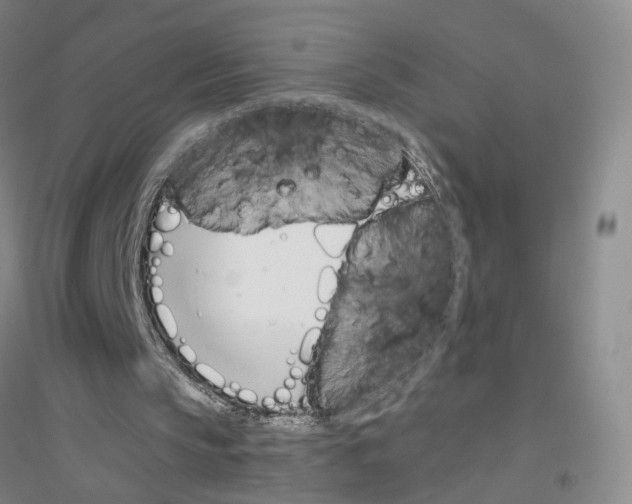 X0000116820145201001291629