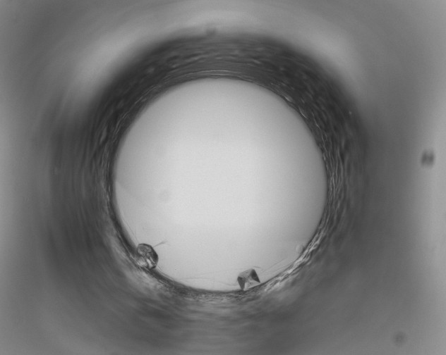 X0000116820146201001291629