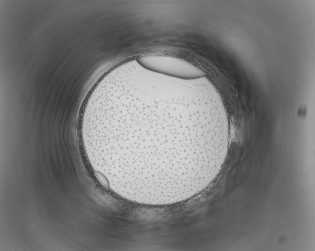 X0000116820147201001291629