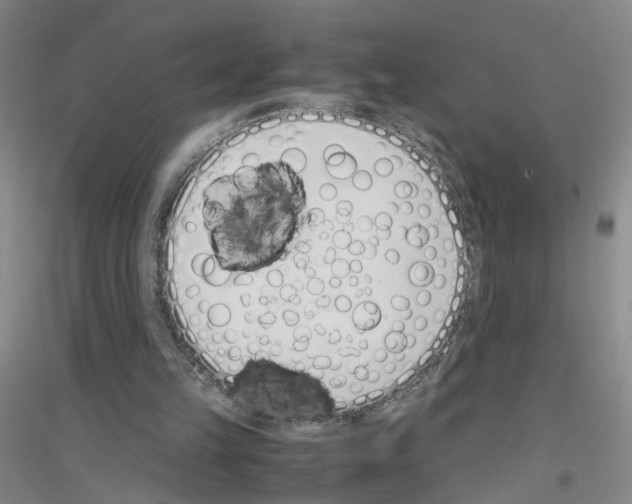 X0000116820149201001291629