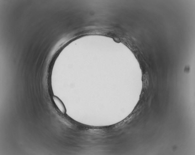 X0000116820150201001291629