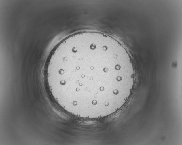 X0000116820151201001291629