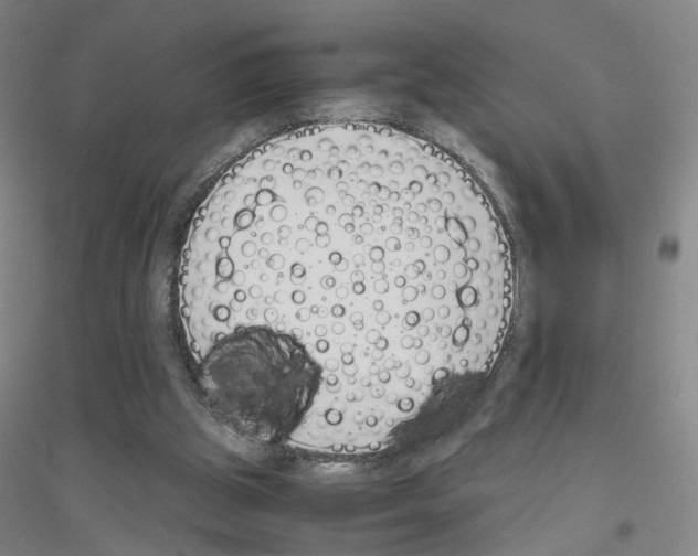 X0000116820153201001291629