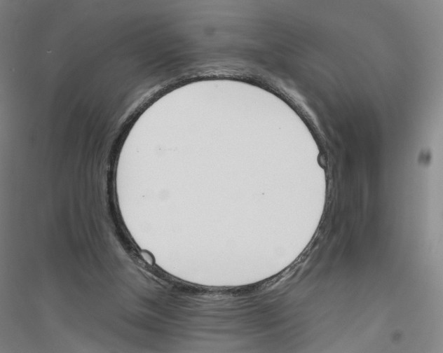 X0000116820154201001291629