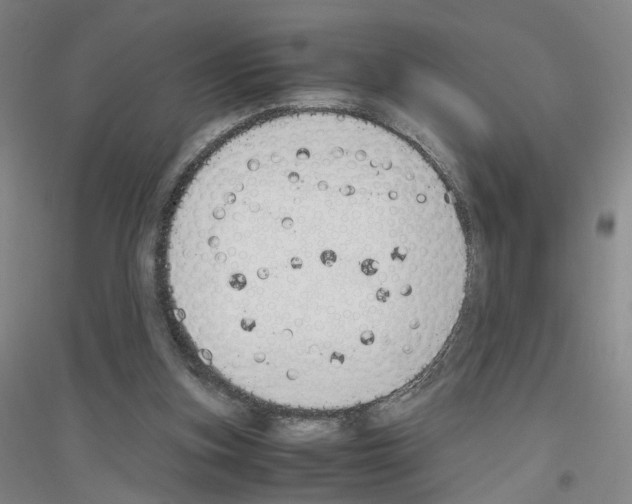 X0000116820155201001291629