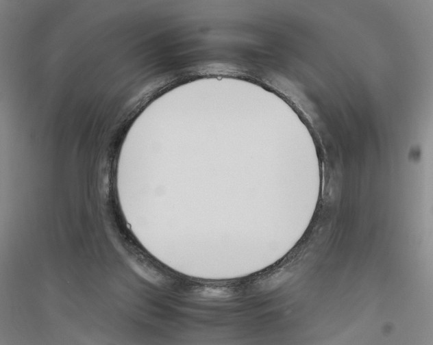 X0000116820157201001291629