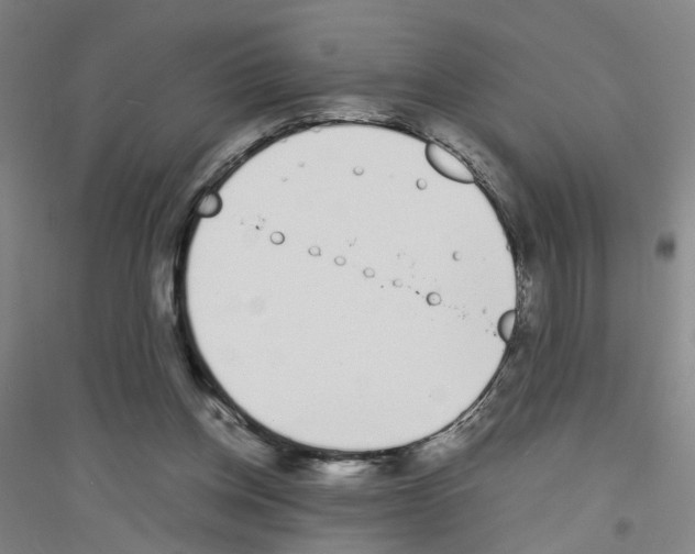 X0000116820158201001291629