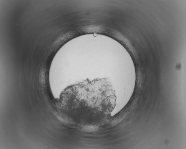 X0000116820161201001291629