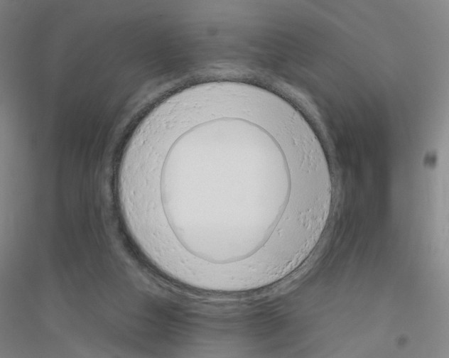 X0000116820162201001291629