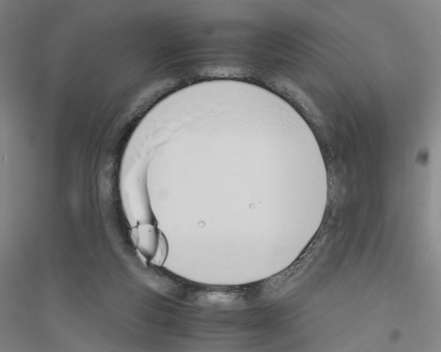 X0000116820163201001291629